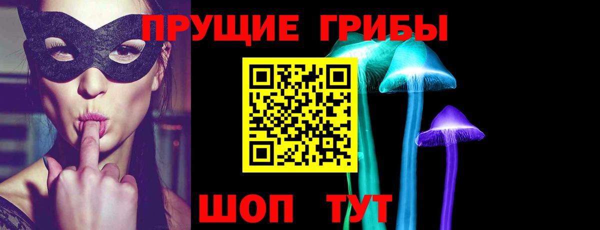 Севастополь  Галлюциногенные грибы GOLDEN TEACHER  Вход с VPN 